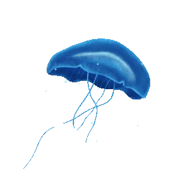 世界海洋日生物水母蓝色gif图素材