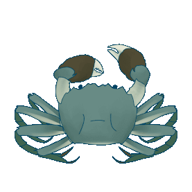 动物水产青蟹螃蟹gif图素材