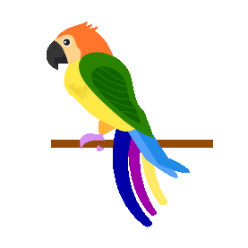 彩色鹦鹉鸟鸟类gif图素材