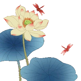 中国风夏天大暑随风摇摆的荷花莲花荷叶飞舞的蜻蜓gif图素材
