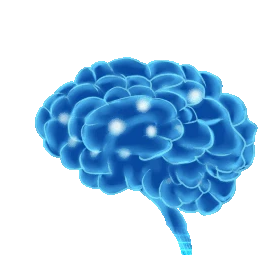 医疗扫描网格大脑人体器官智慧gif图素材