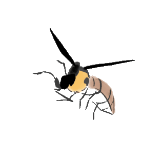 水墨昆虫蜜蜂飞舞gif图素材图片