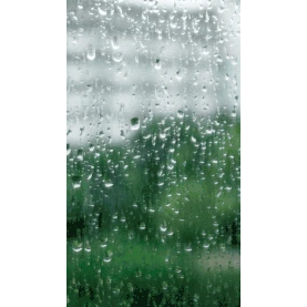 暴雨天气台风预警窗外下雨竖版视频背景实景海报动图gif