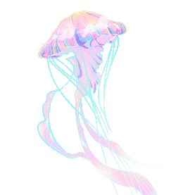 彩色水母海洋生物动物gif图素材