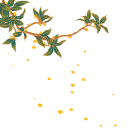 中秋节中秋桂花树花瓣飘落浪漫黄色gif图素材图片