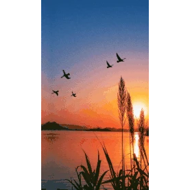 秋天日落黄昏大雁湖面芦苇摆动竖版视频背景海报H5gif图素材图片