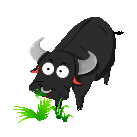 牛黑牛吃草牧场养殖场动物黑色gif图素材
