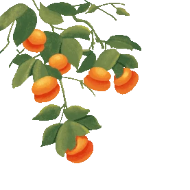 秋天水果柿子gif图素材