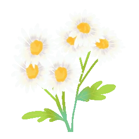 重阳重阳节菊花盛放花朵花gif图素材