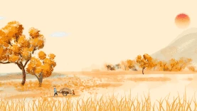 秋天秋分田野风景黄色视频背景gif图素材图片