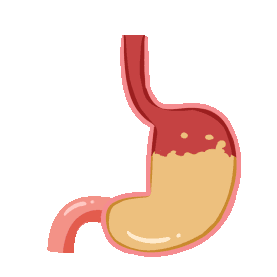 医疗人体器官胃胃酸消化gif图素材