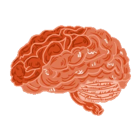 医疗人体器官大脑脑子组织红色gif图素材