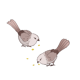 秋天动物小鸟灰色麻雀觅食gif图素材