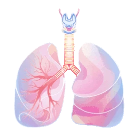 医疗人体器官肺部呼吸gif图素材