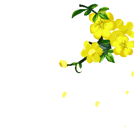迎春花黄色花朵花瓣花gif图素材