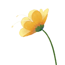 花朵小黄花植物花gif图素材
