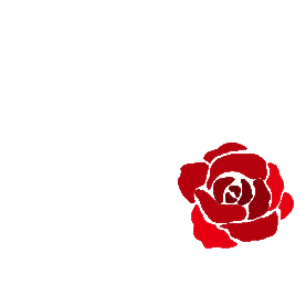 红色玫瑰花瓣漂浮花朵gif图素材