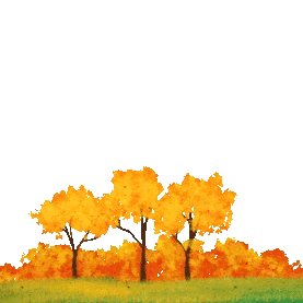 秋季秋天枫树林底边植物树木gif图素材