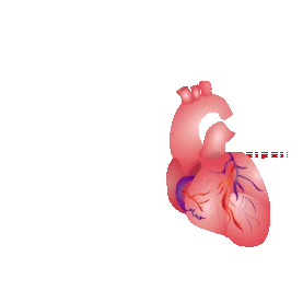 医疗做心电图的心脏器官gif图素材