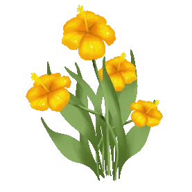 植物花朵花黄色清新gif图素材