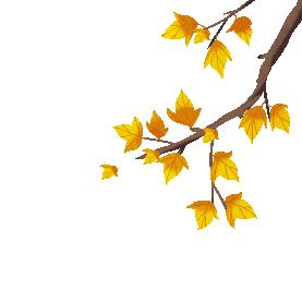 秋天秋分节气树枝梧桐叶子植物gif图素材图片