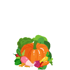 秋天绿色健康食品蔬菜gif图素材图片