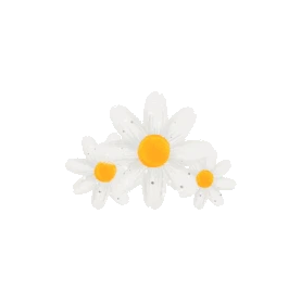 小清新白色小雏菊花朵花贴纸动图gif