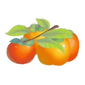 二十四节气寒露柿子果实成熟gif图素材