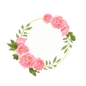 牡丹花卉贺卡边框小清新粉色花朵花gif图素材图片