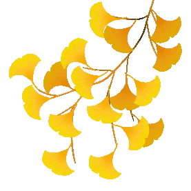秋天秋分银杏树叶叶子黄色动图gif