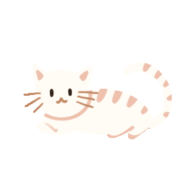 白色猫咪动物宠物gif图素材