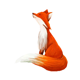 抬头仰望的狐狸动物红色gif图素材