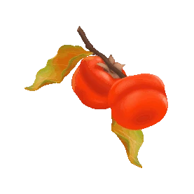 秋天成熟果实柿子gif图素材