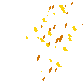 秋天落叶叶子秋风黄色树叶gif图素材