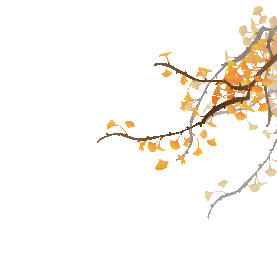秋天银杏叶树叶落叶唯美金黄色gif图素材
