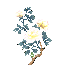白牡丹水墨风植物花卉花朵花动图gif