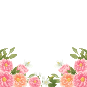 牡丹花朵花边框底边植物gif图素材
