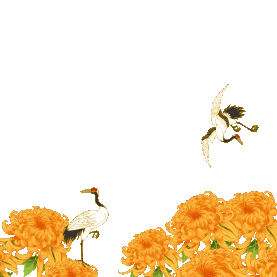 重阳节重阳菊花中国风黄色仙鹤赏菊gif图素材图片