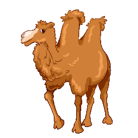 沙漠骆驼棕色动物gif图素材