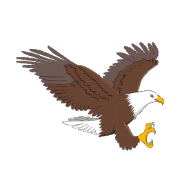 展翅飞翔的雄鹰动物飞鸟gif图素材图片