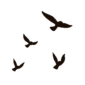 一群飞鸟剪影黑色gif图素材