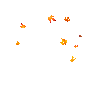 秋天落叶树叶树叶飘落深秋枫叶金色gif图素材