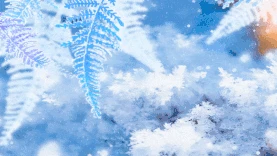 节气霜降冰蓝色雪花视频背景动图gif