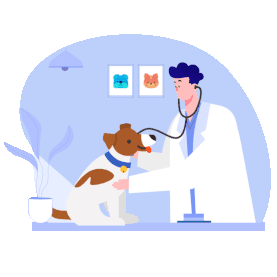 宠物医生兽医看病治疗检查宠物狗gif图素材图片