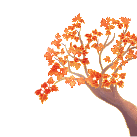 秋季秋天植物枫树树木树gif图素材图片