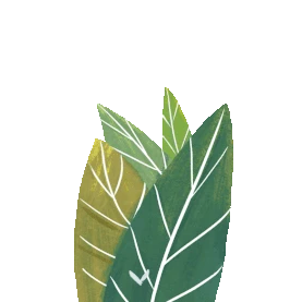 绿色叶子树叶装饰植物gif图素材