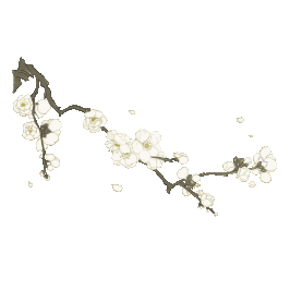 白色梅花飘落梅枝国潮花朵花gif图素材