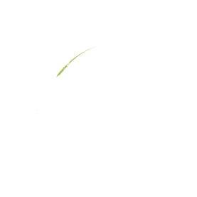绿色画圈标注划重点符号手写gif图素材