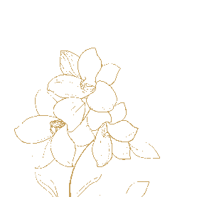 植物花卉花草叶子金线描剪纸金色gif图素材图片