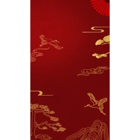 中国风红色喜庆大气线条国潮竖版视频背景海报gif图素材图片